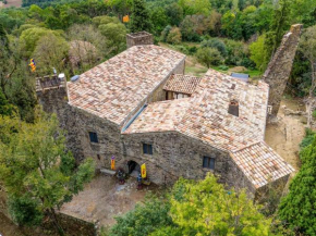 Castell de Falgons
